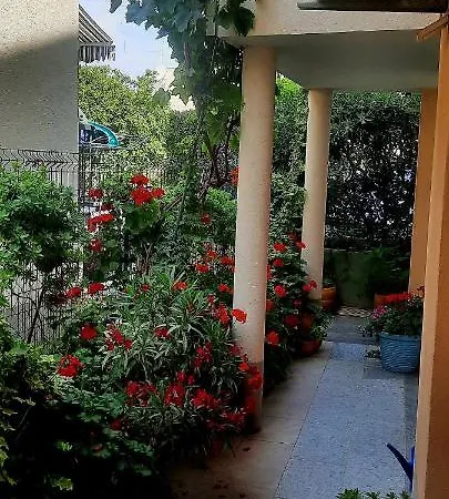 Vila Doris Pensionat *